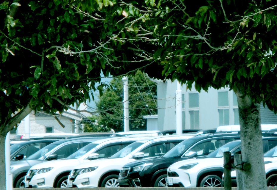 使用済み自動車買取